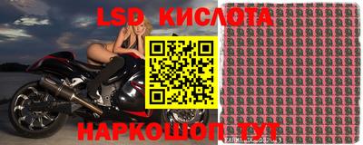 винт Пенза