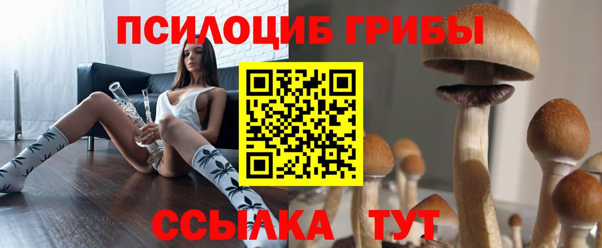 Галлюциногенные грибы Cubensis Россошь